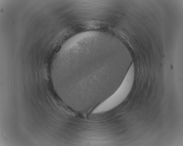 X0000076330512200610272033