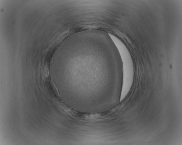 X0000076330517200610272033