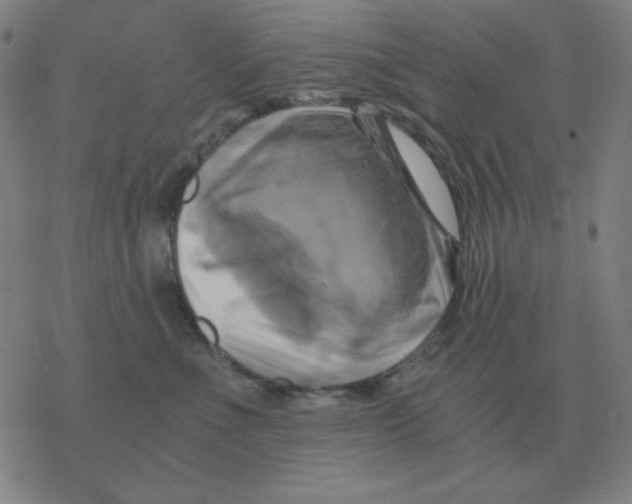 X0000076330523200610272032