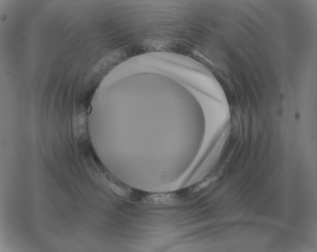 X0000076330526200610272032
