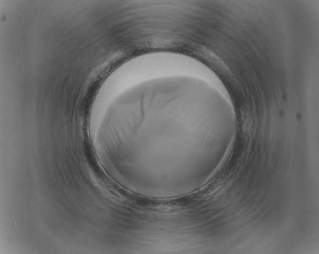X0000076330542200610272032
