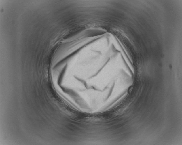 X0000076330545200610272032