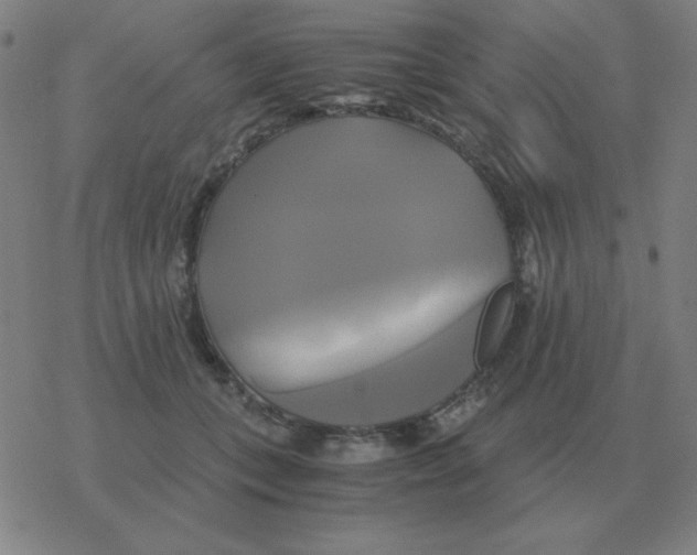 X0000076330559200610272032