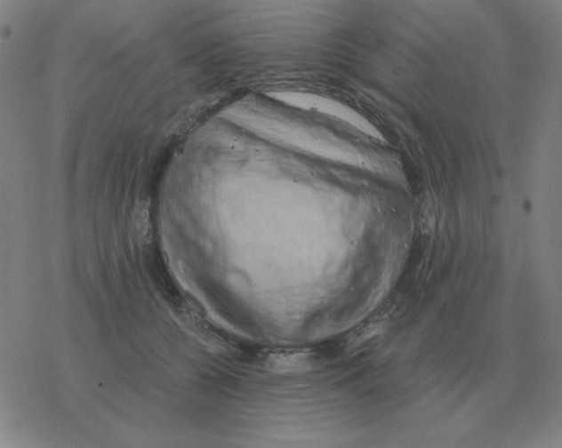 X0000076330560200610272032