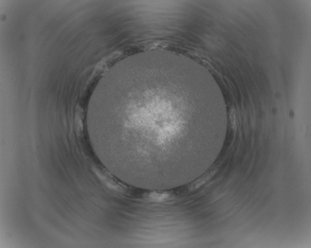 X0000076330570200610272032
