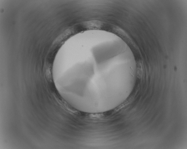 X0000076330573200610272032
