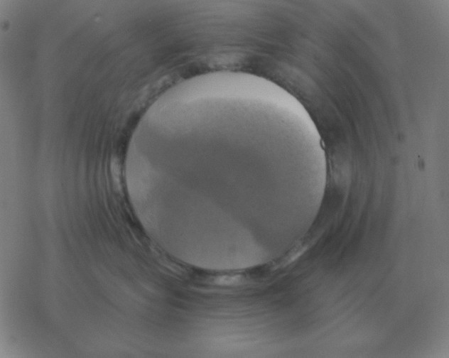 X0000076330575200610272032