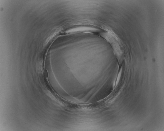 X0000076330585200610272031