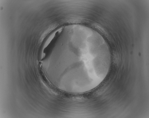X0000076330586200610272031