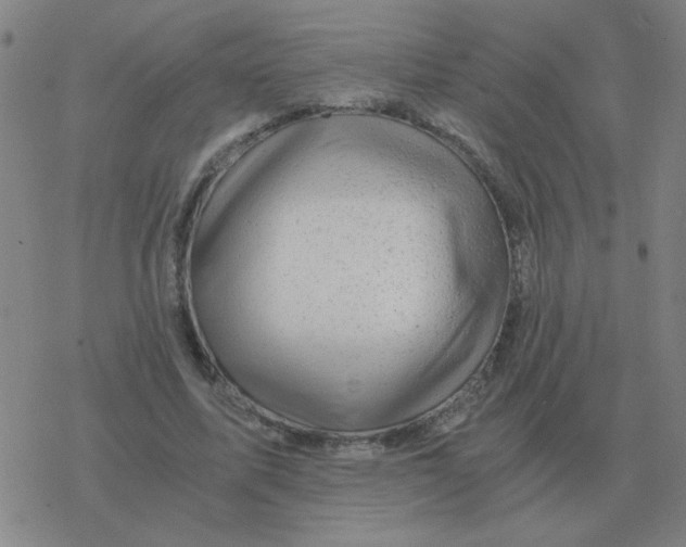 X0000076330587200610272031