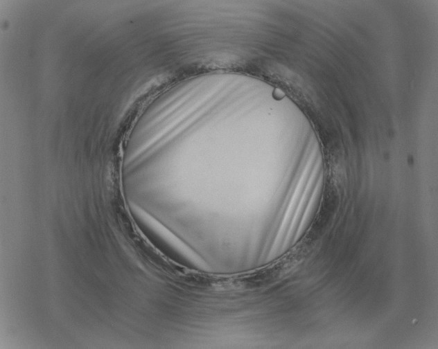 X0000076330591200610272031