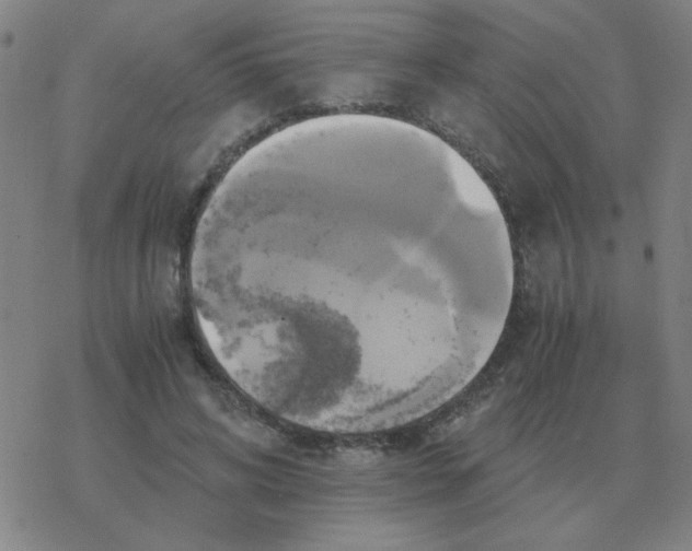 X0000076330592200610272031