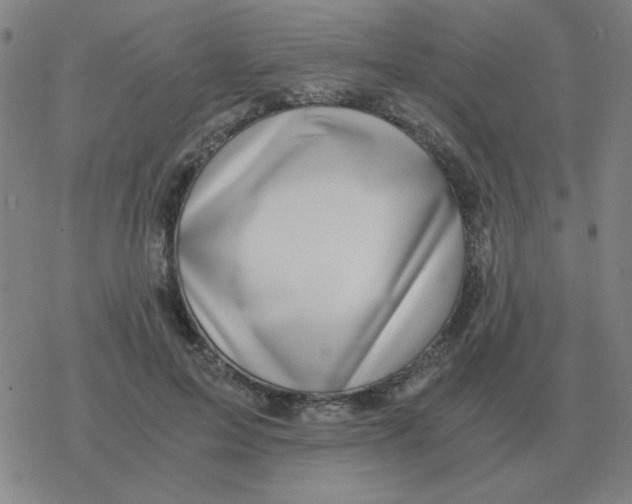 X0000076330599200610272031