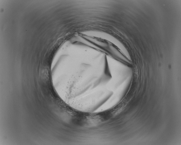 X0000076330603200610272031