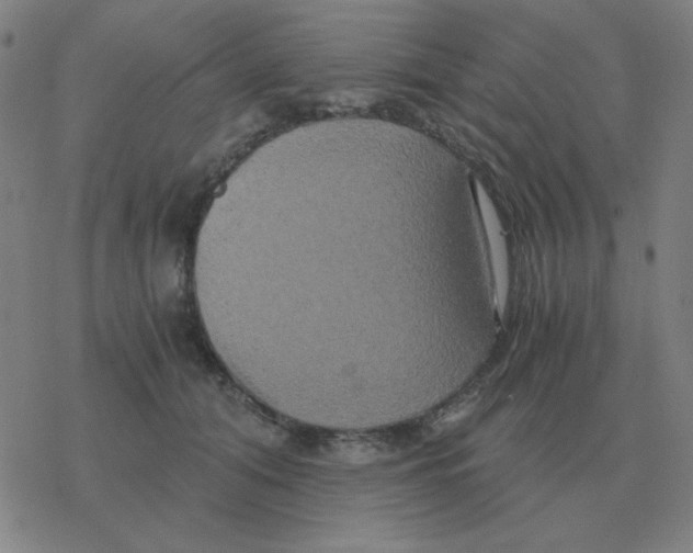 X0000076330608200610272031
