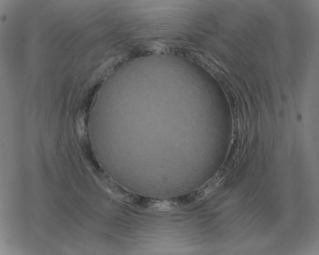 X0000076330611200610272031