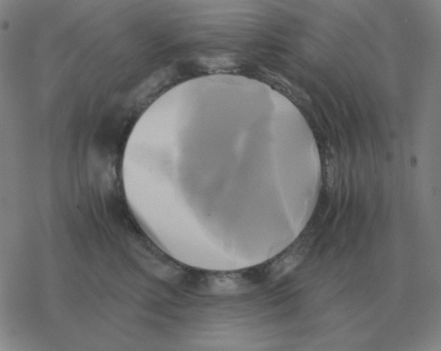 X0000076330618200610272031