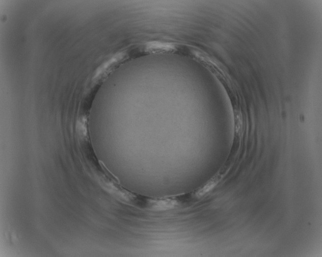 X0000076330621200610272031