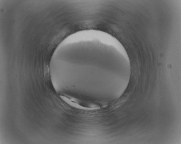 X0000076330624200610272031