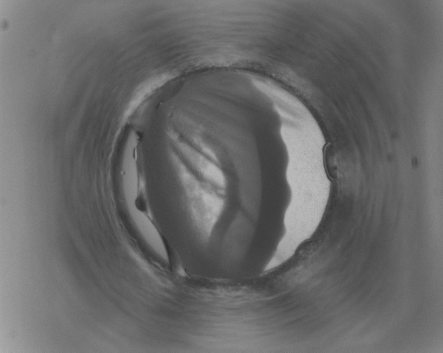 X0000076330626200610272030