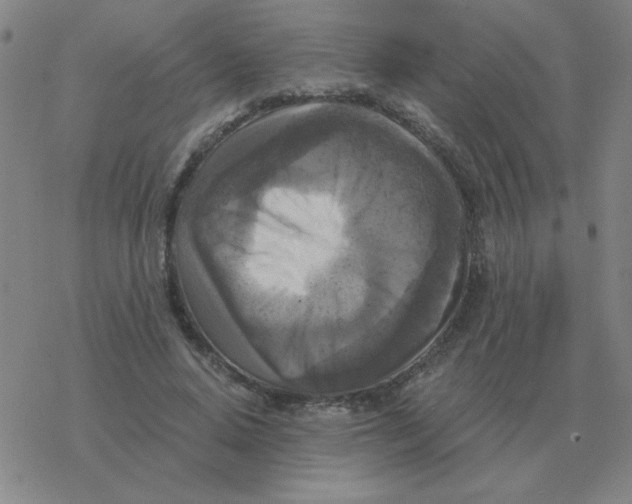 X0000076330640200610272030