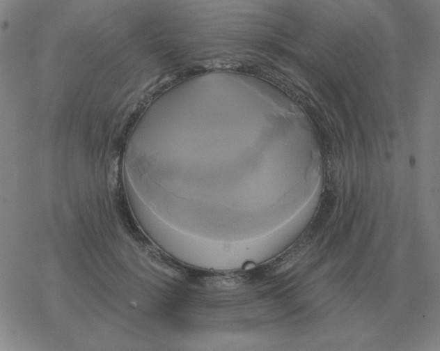 X0000076330652200610272030