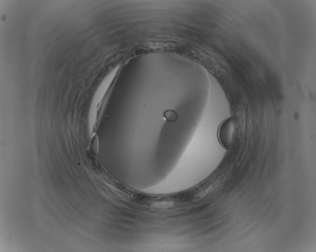 X0000076330653200610272030