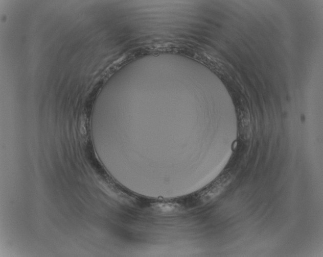 X0000076330654200610272030