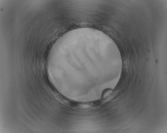 X0000076330662200610272031
