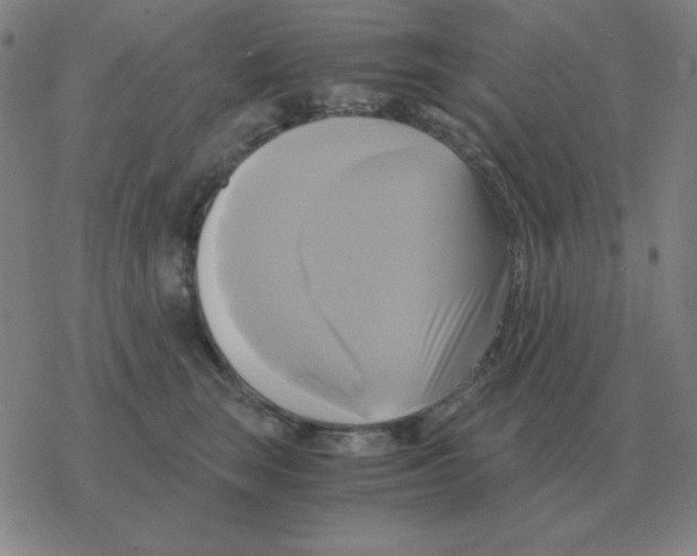 X0000076330663200610272031