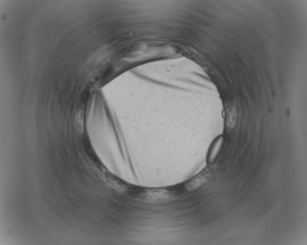 X0000076330666200610272031