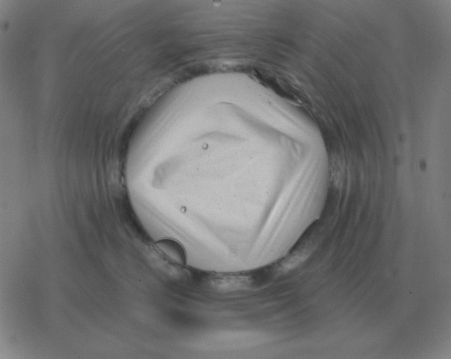 X0000076330670200610272031