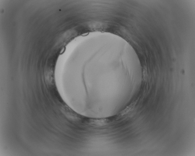 X0000076330671200610272031