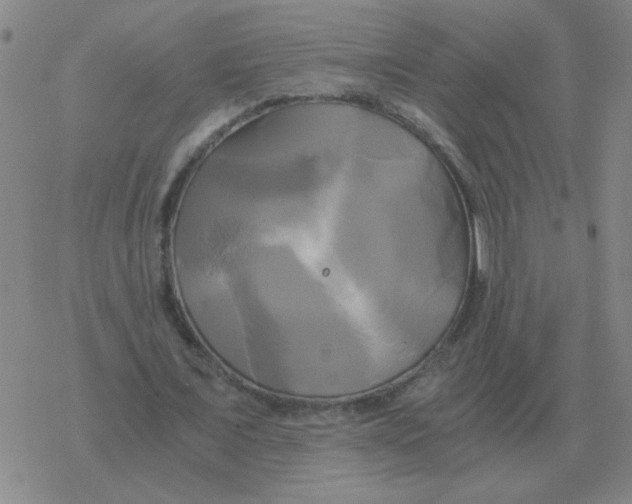 X0000076330675200610272030