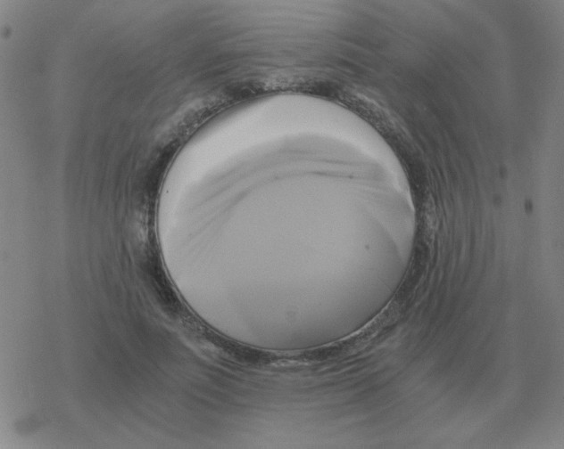 X0000076330691200610272030