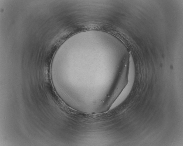 X0000076330696200610272030
