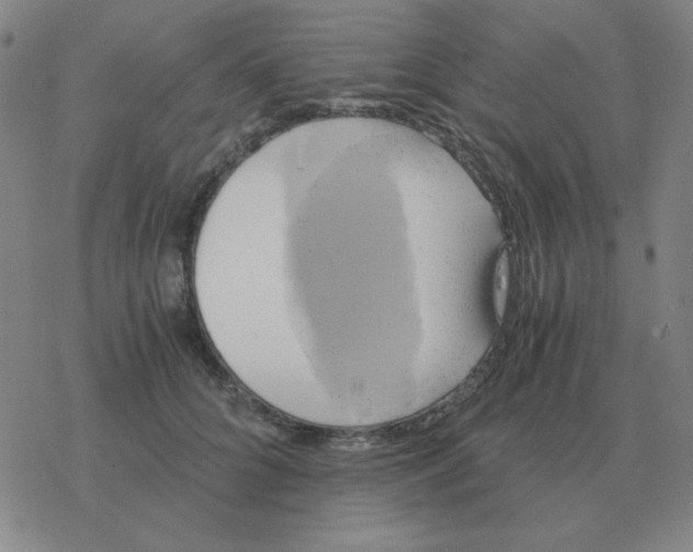 X0000076330704200610272029