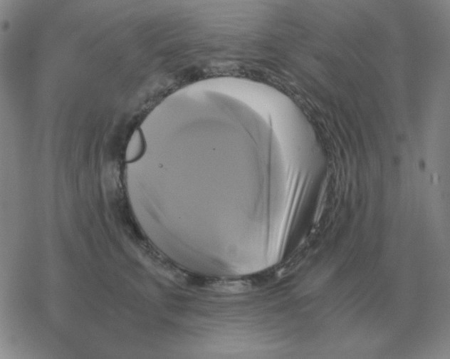 X0000076330711200610272029