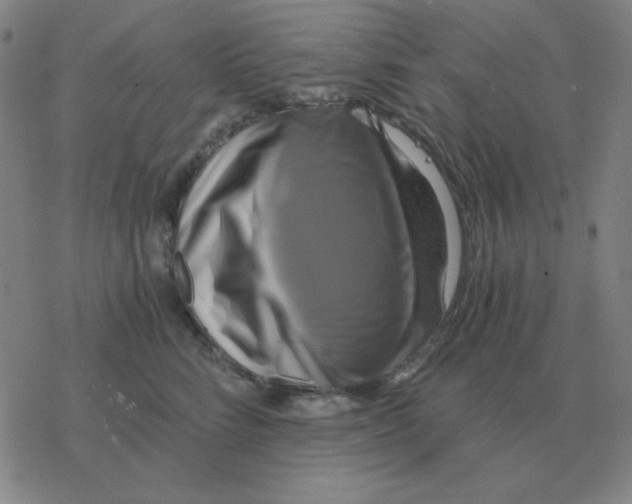 X0000076330712200610272029