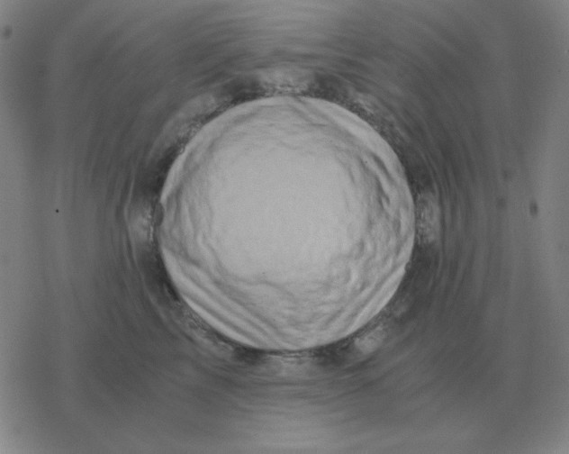 X0000076330713200610272029