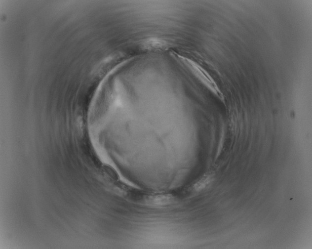 X0000076330716200610272029