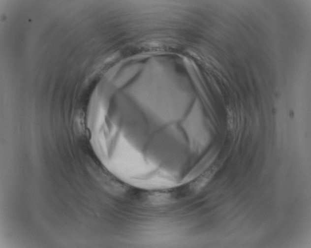 X0000076330718200610272029