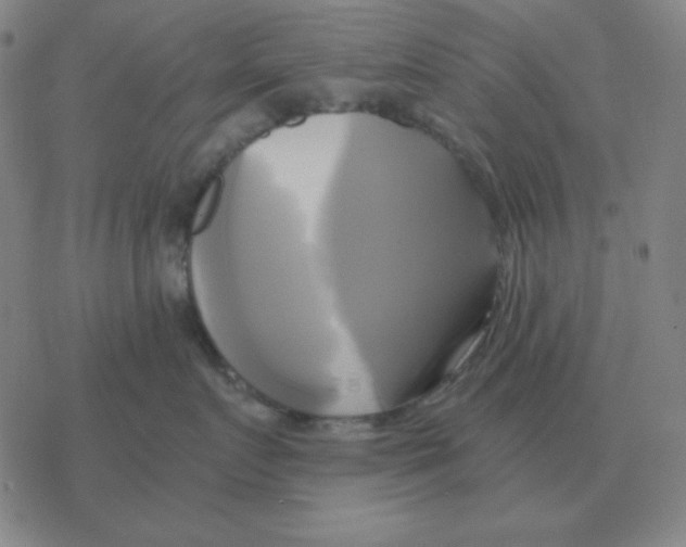 X0000076330719200610272029