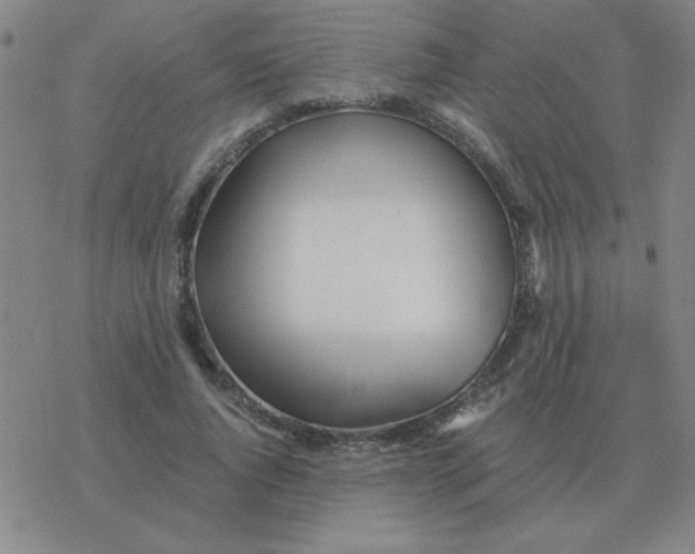 X0000076330736200610272029