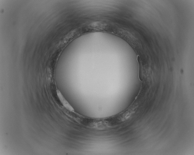 X0000076330752200610272029