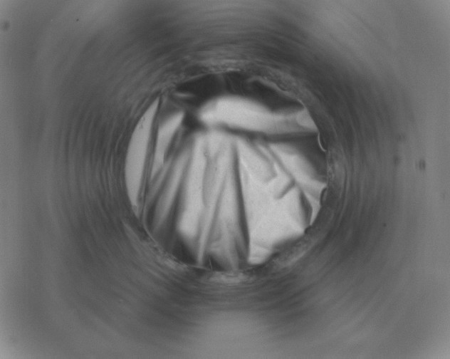X0000076330767200610272029