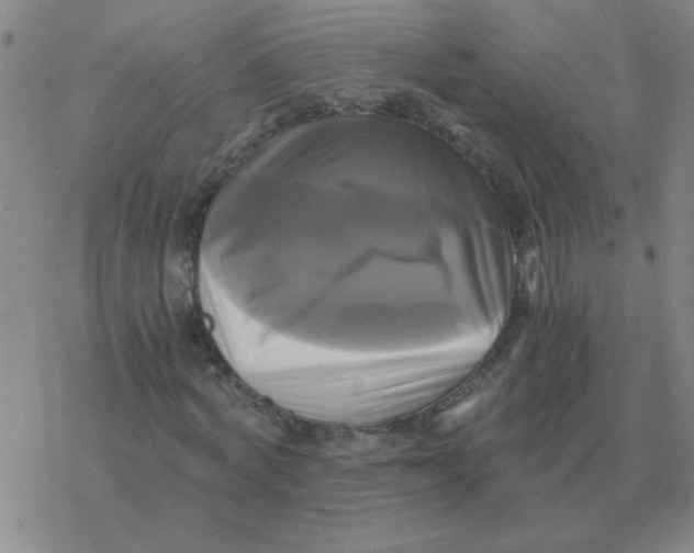 X0000076330772200610272028