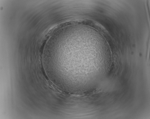X0000076330773200610272028