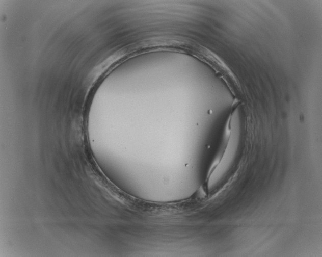 X0000076330786200610272028