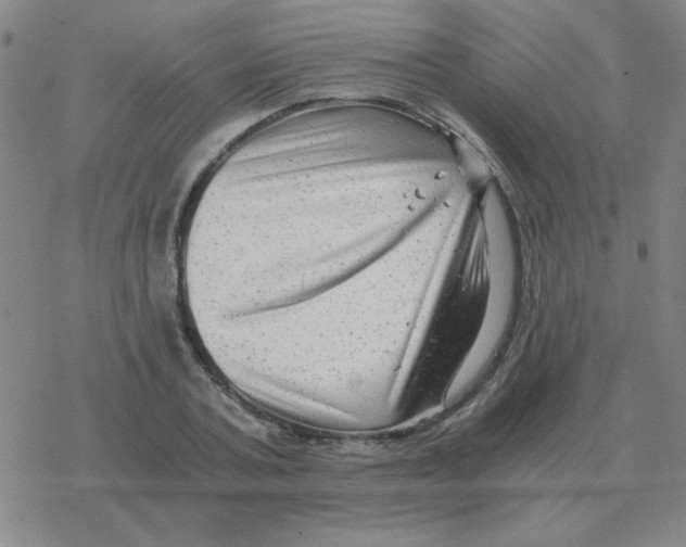 X0000076330787200610272028